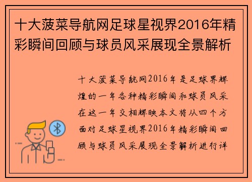 十大菠菜导航网足球星视界2016年精彩瞬间回顾与球员风采展现全景解析 - 副本